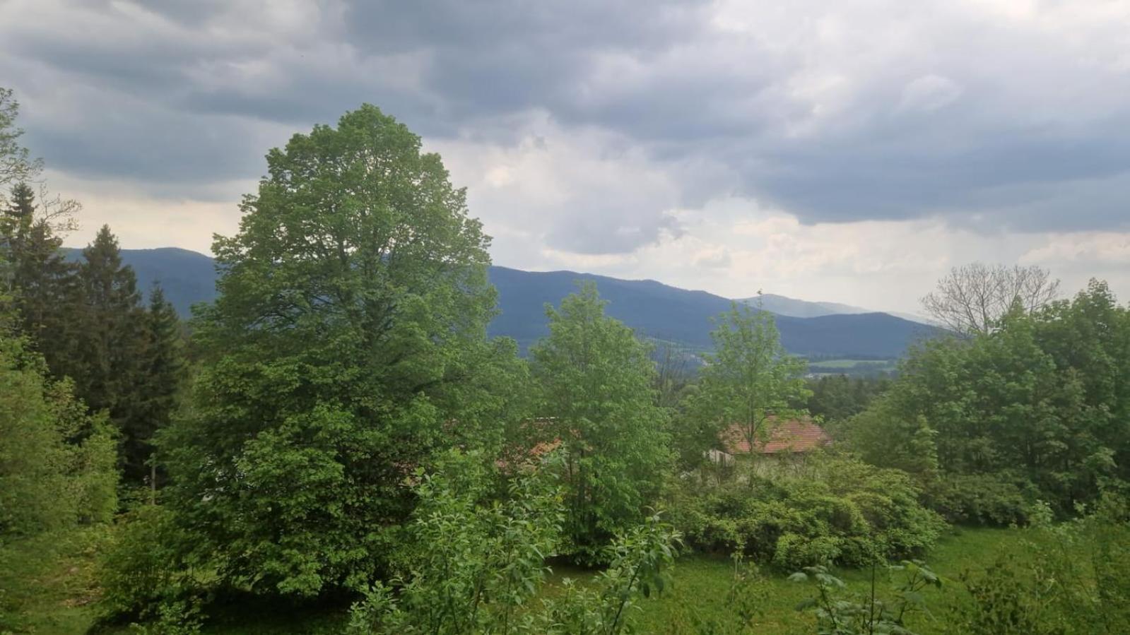 Schoene Unterkunft In Lohberg Mit Grillplatz Und Balkon 外观 照片